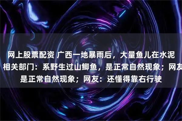 网上股票配资 广西一地暴雨后，大量鱼儿在水泥路上跳跃“赶路”，相关部门：系野生过山鲫鱼，是正常自然现象；网友：还懂得靠右行驶