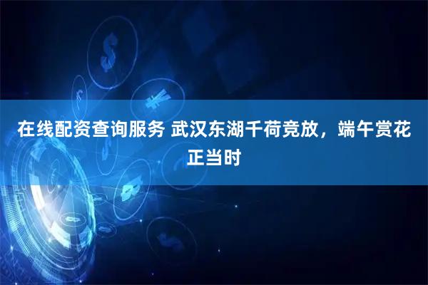 在线配资查询服务 武汉东湖千荷竞放，端午赏花正当时