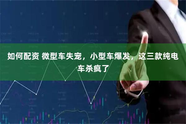 如何配资 微型车失宠，小型车爆发，这三款纯电车杀疯了